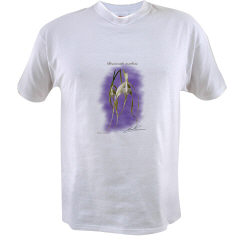 Brassavola cucullata